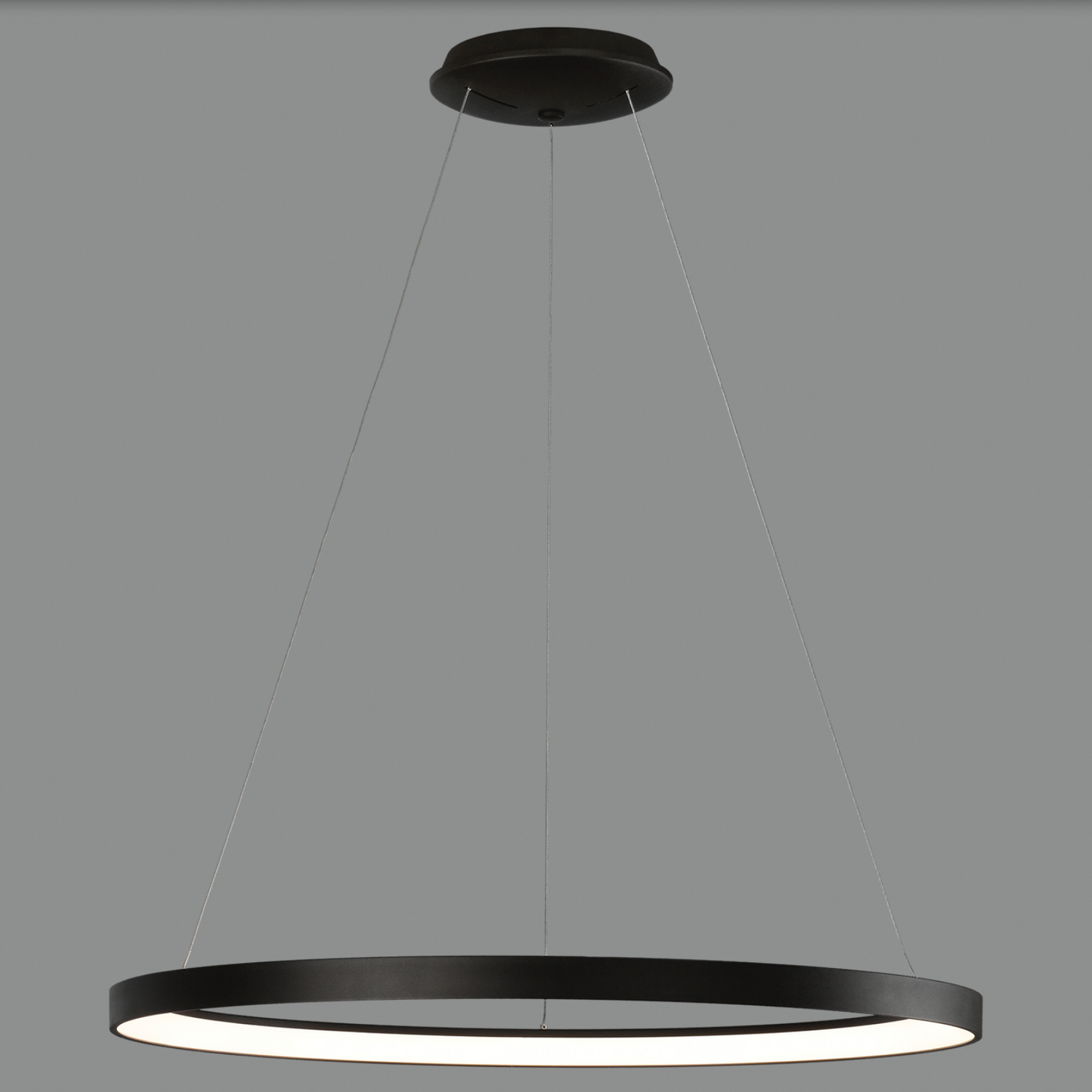 Lampe Suspendue Intérieure 100W GRACE