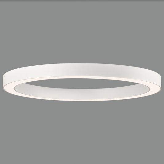 Plafonnier Intérieur 75W ALISO