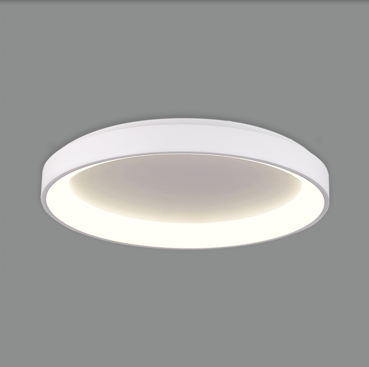 Plafonnier Intérieur 50W GRACE