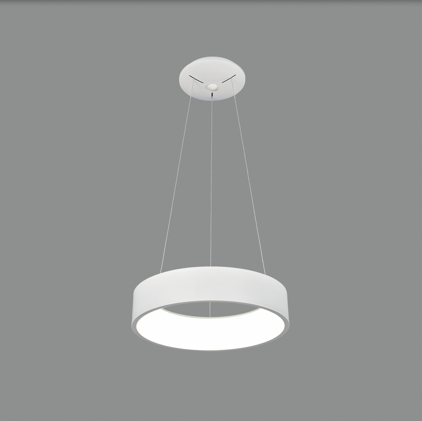 Lampe Suspendue Intérieure 27W DILGA