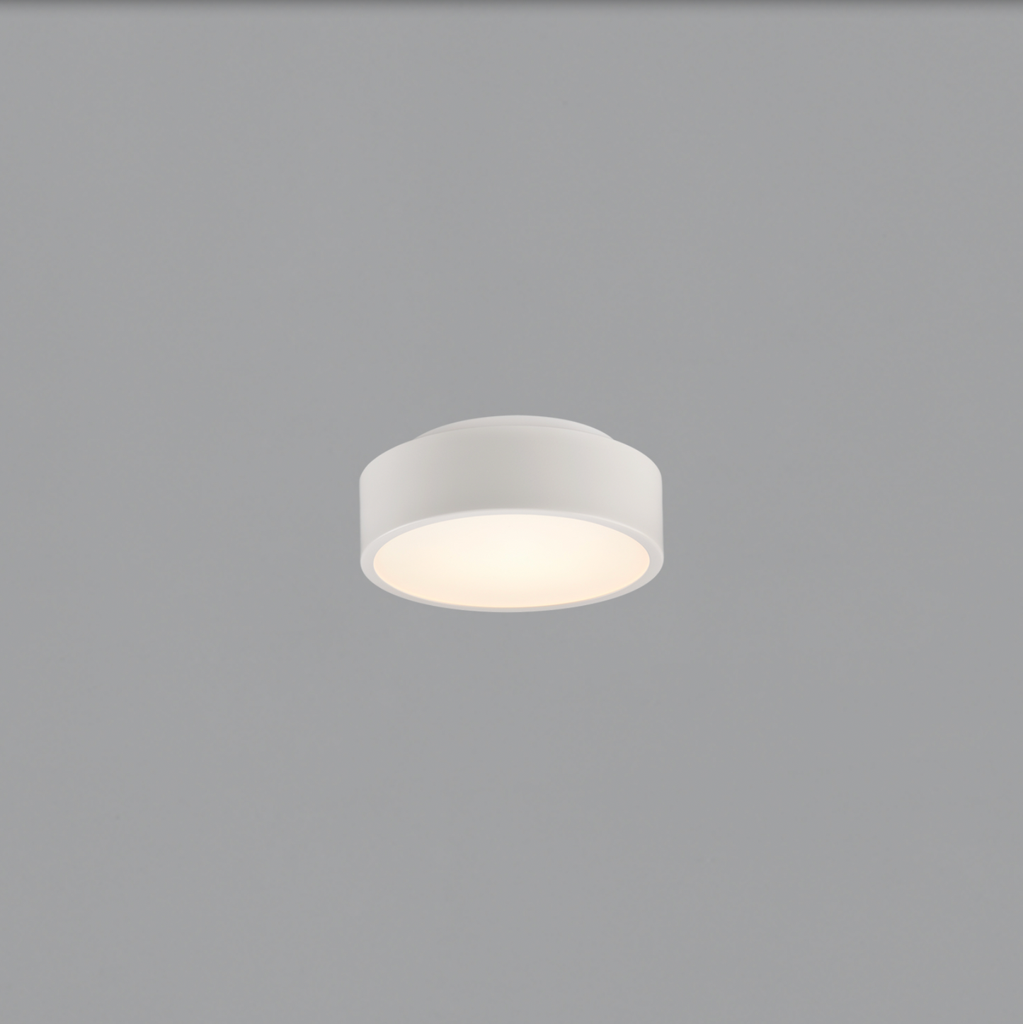 Plafonnier Intérieur 16 cm DINS