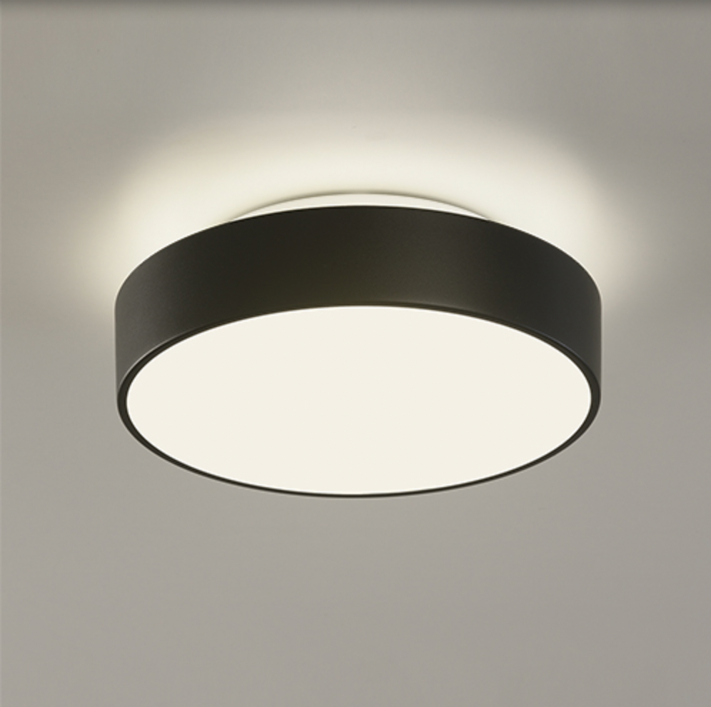 Plafonnier Intérieur 16 cm DINS