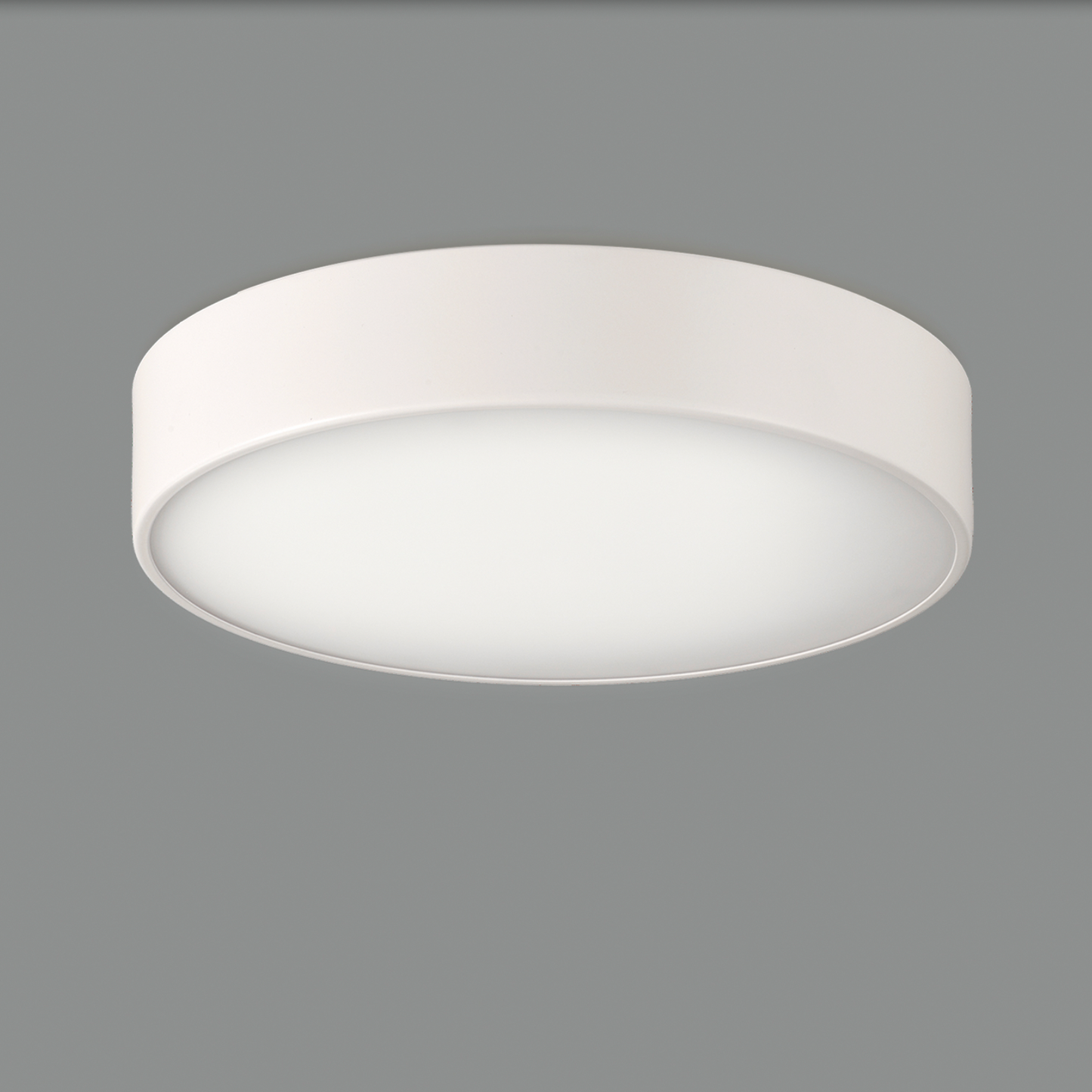 Plafonnier Intérieur 26 cm DINS