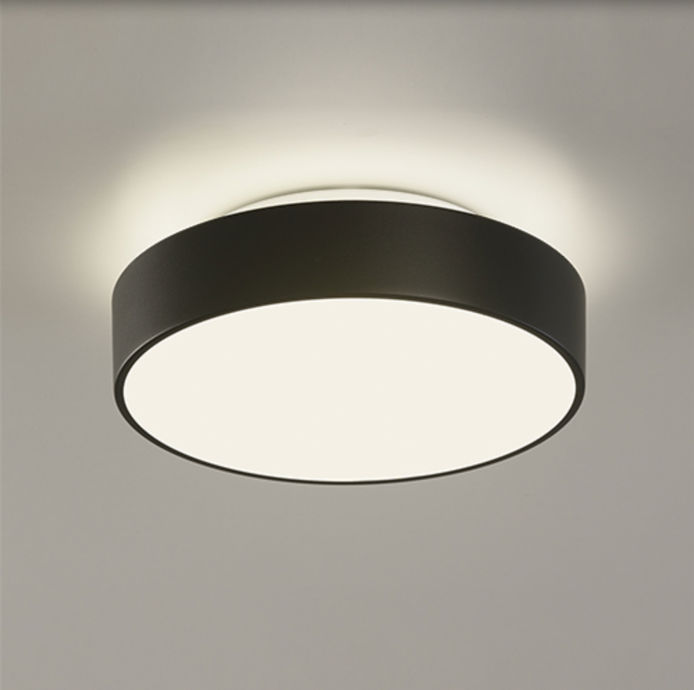 Plafonnier Intérieur 26 cm DINS