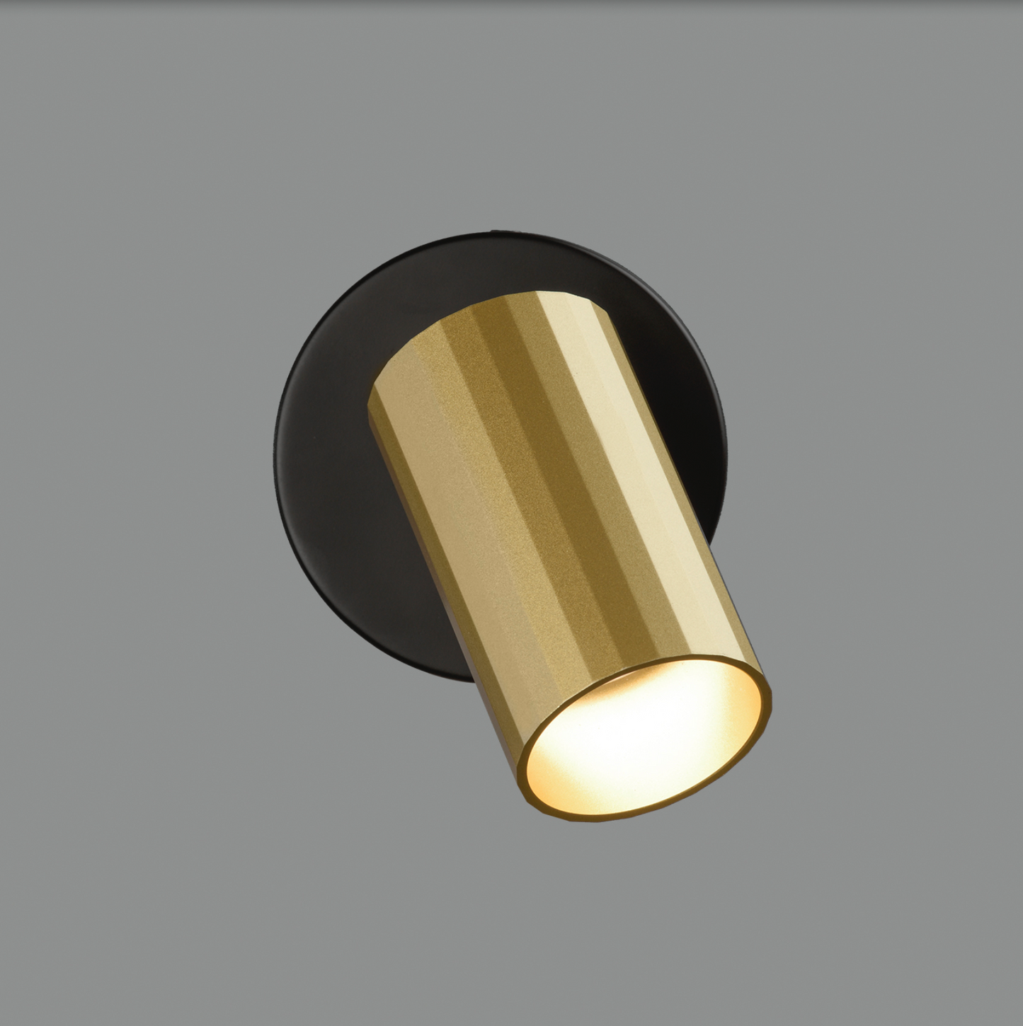 Lampe Murale Intérieure Ajustable 1L MODRIAN