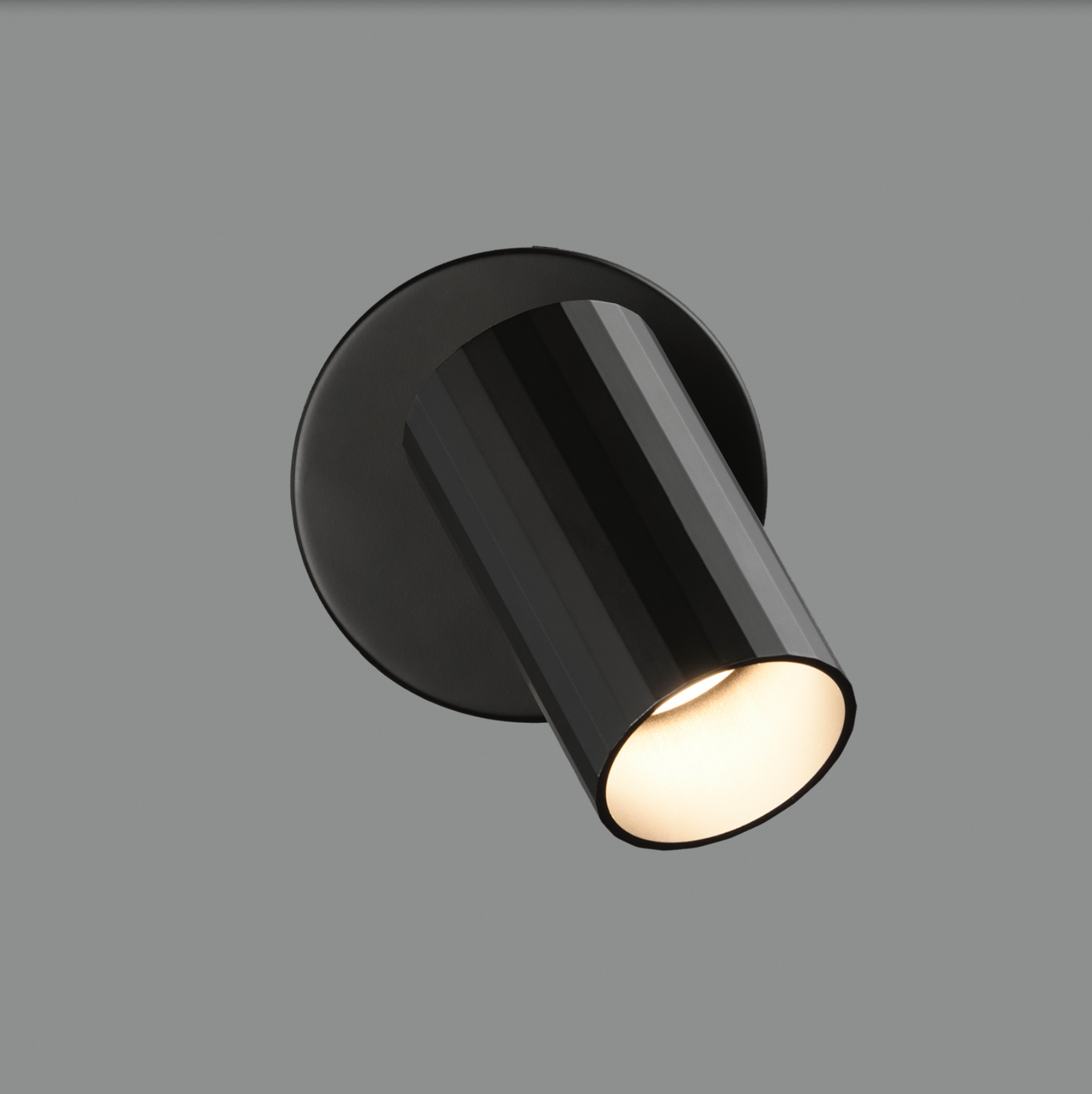 Lampe Murale Intérieure Ajustable 1L MODRIAN
