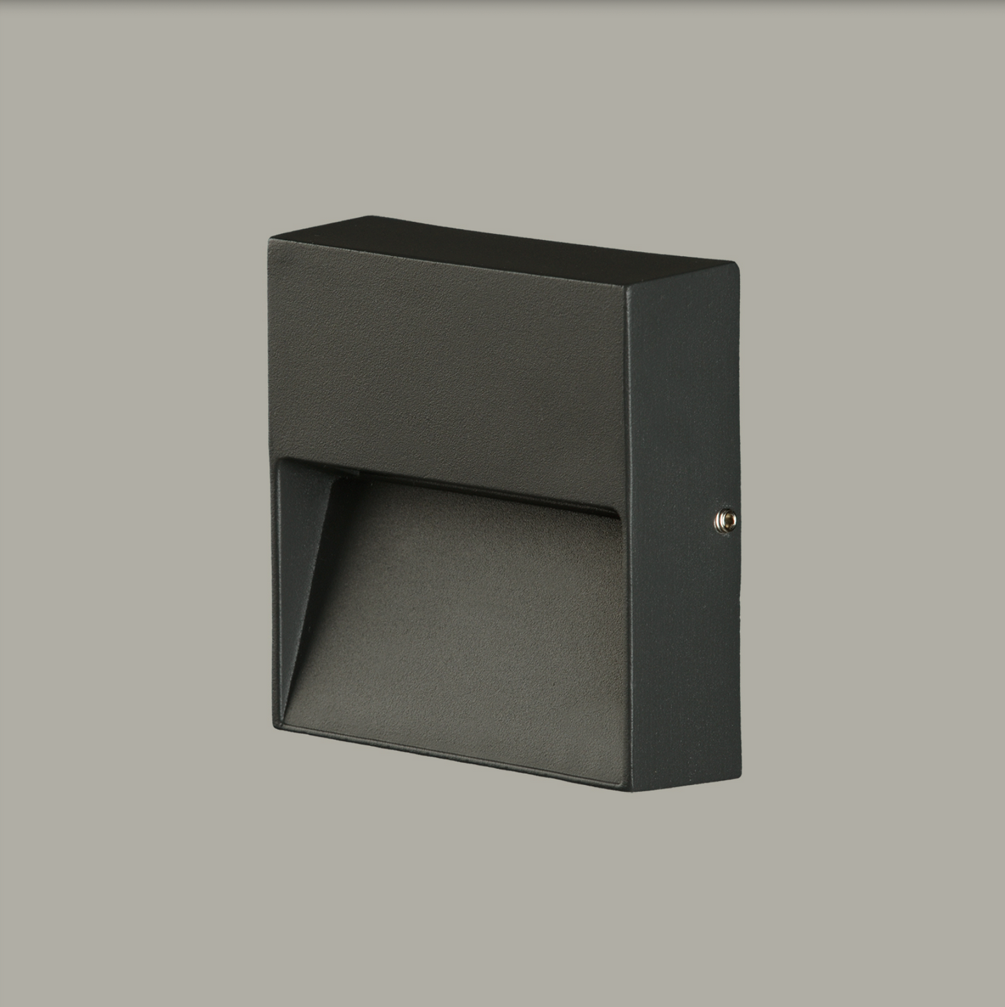 Lampe Murale Extérieure NASHIRA