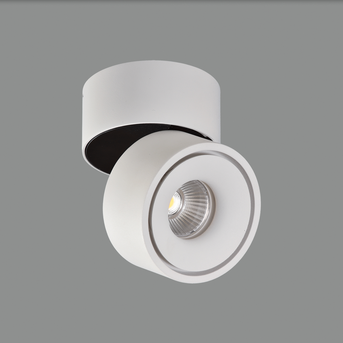 Plafonnier Intérieur Ajustable APEX