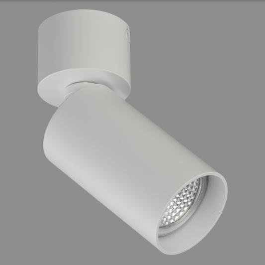 Plafonnier Intérieur Ajustable ZOOM