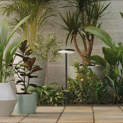 Borne lumineuse extérieure Shedir anthracite texturée, design épuré et discret, 12W 1230lm, offrant une lumière puissante et chaleureuse, résistante aux intempéries grâce à sa protection IP65.