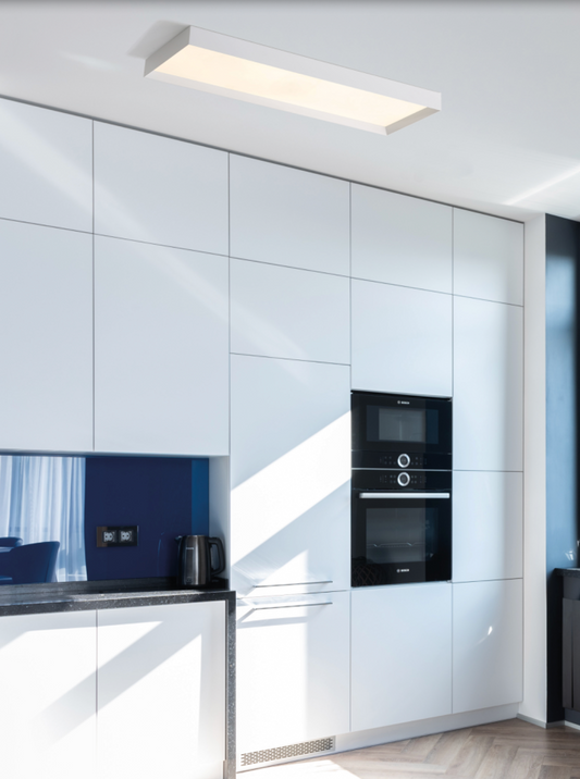 Plafonnier Intérieur 55W MUNICH