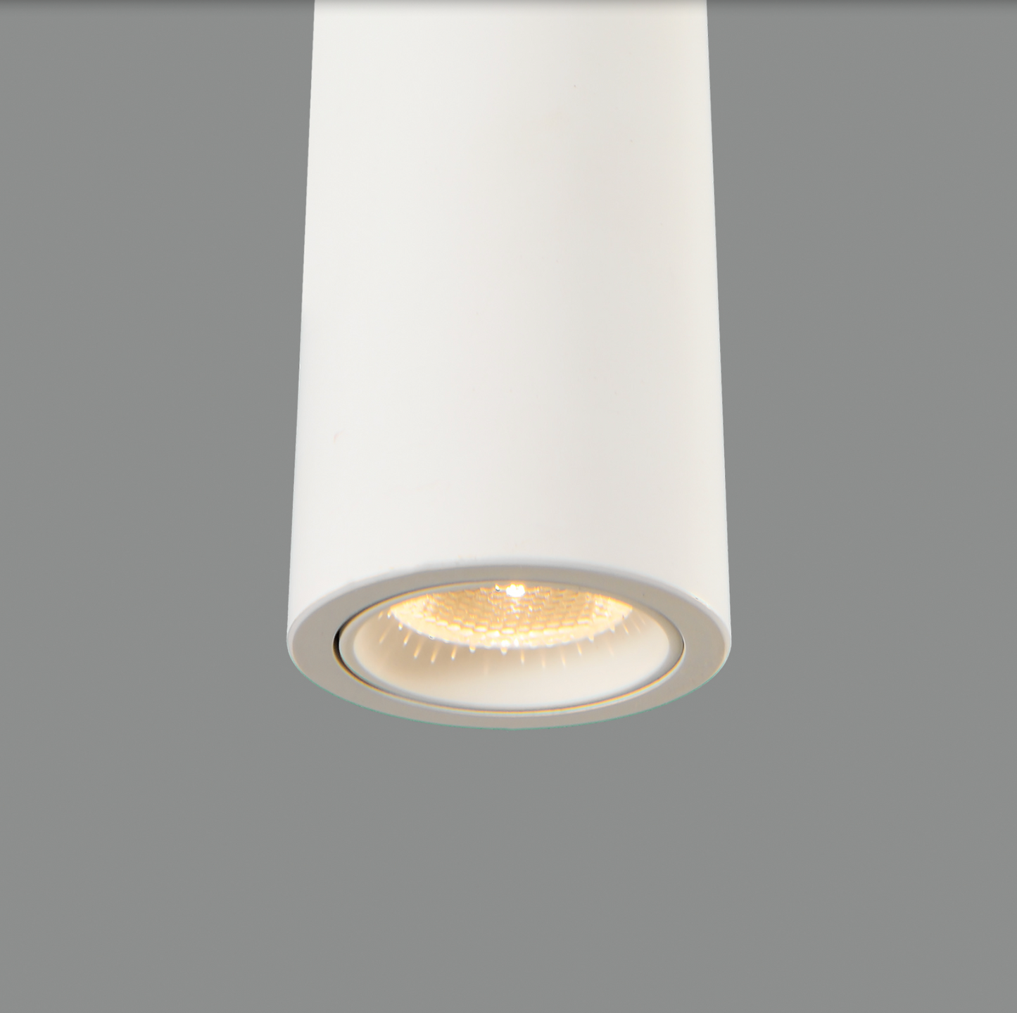 Lampe Suspendue de Surface Intérieure BENDIS