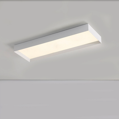 Plafonnier Intérieur 36W MUNICH