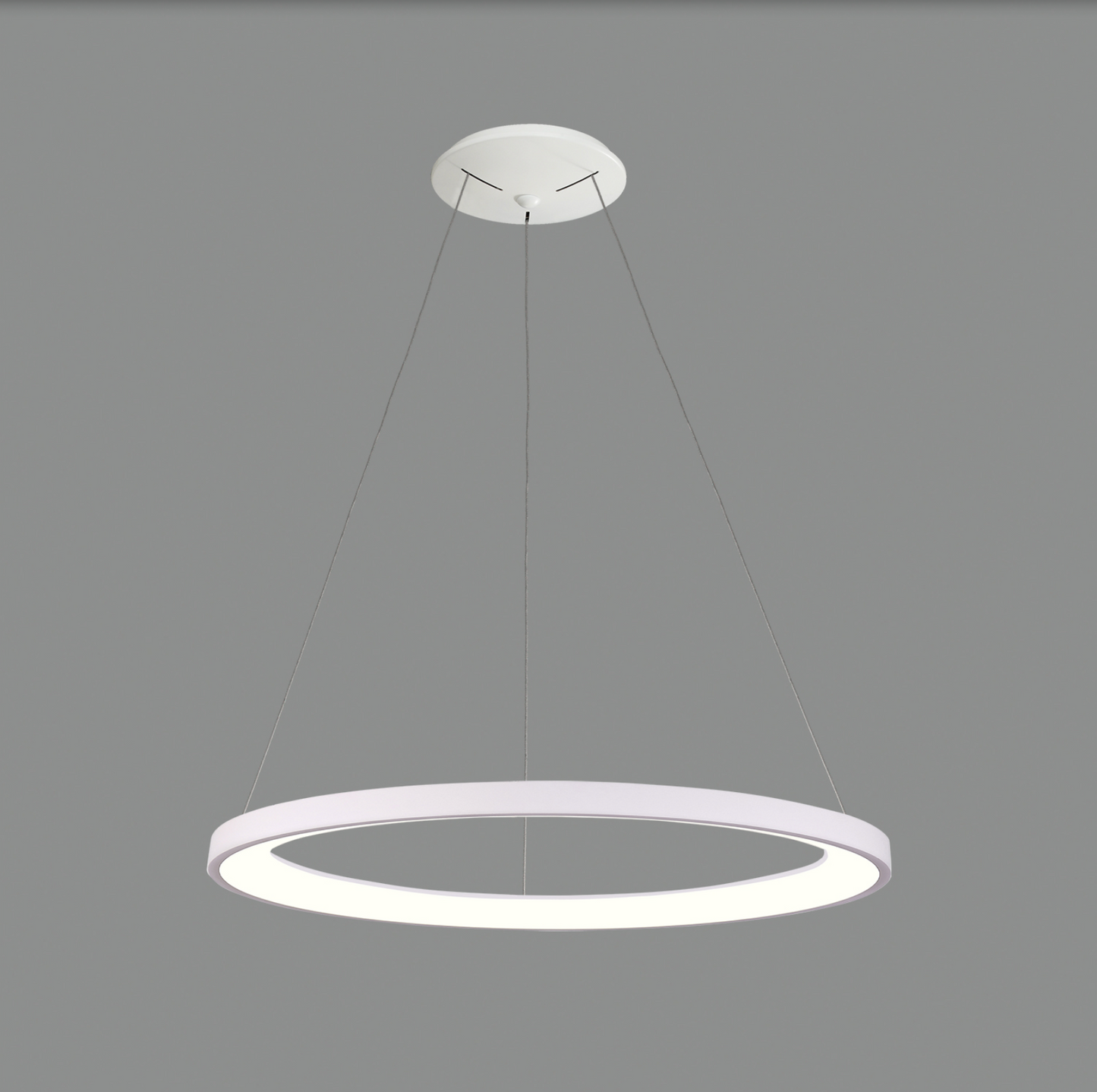 Lampe Suspendue Intérieure 80W GRACE