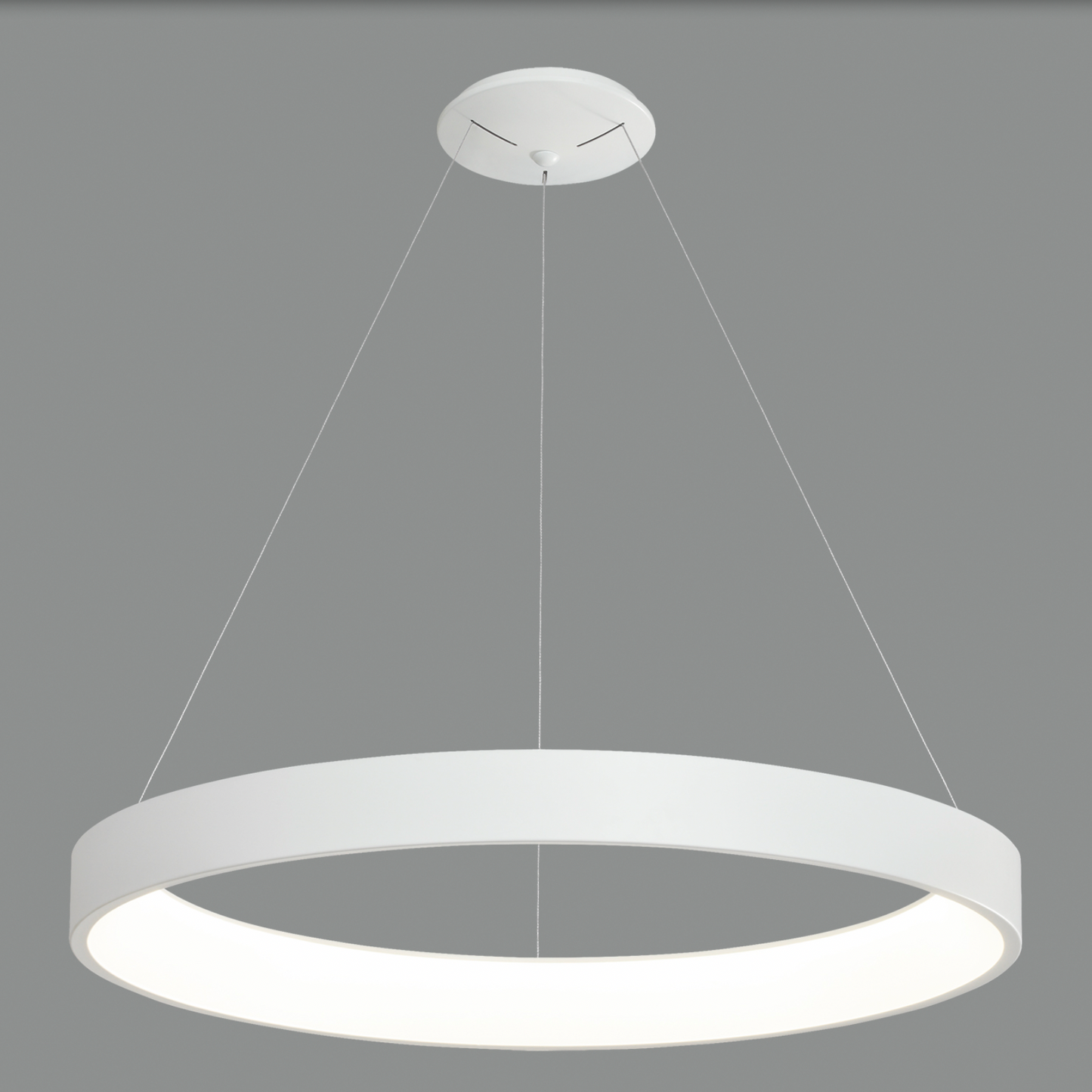 Lampe Suspendue Intérieure 168W DILGA