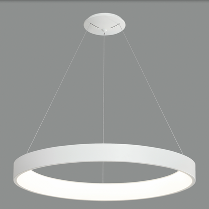 Lampe Suspendue Intérieure 168W DILGA