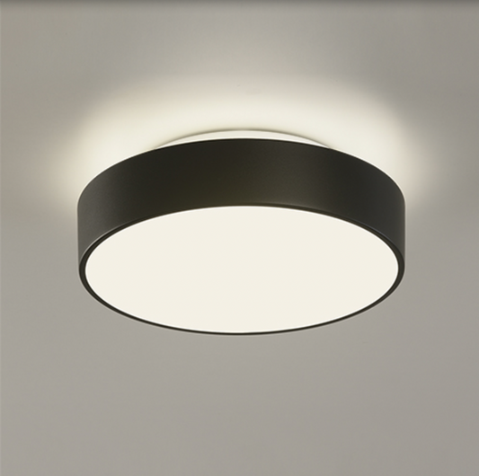 Plafonnier Intérieur 16 cm DINS