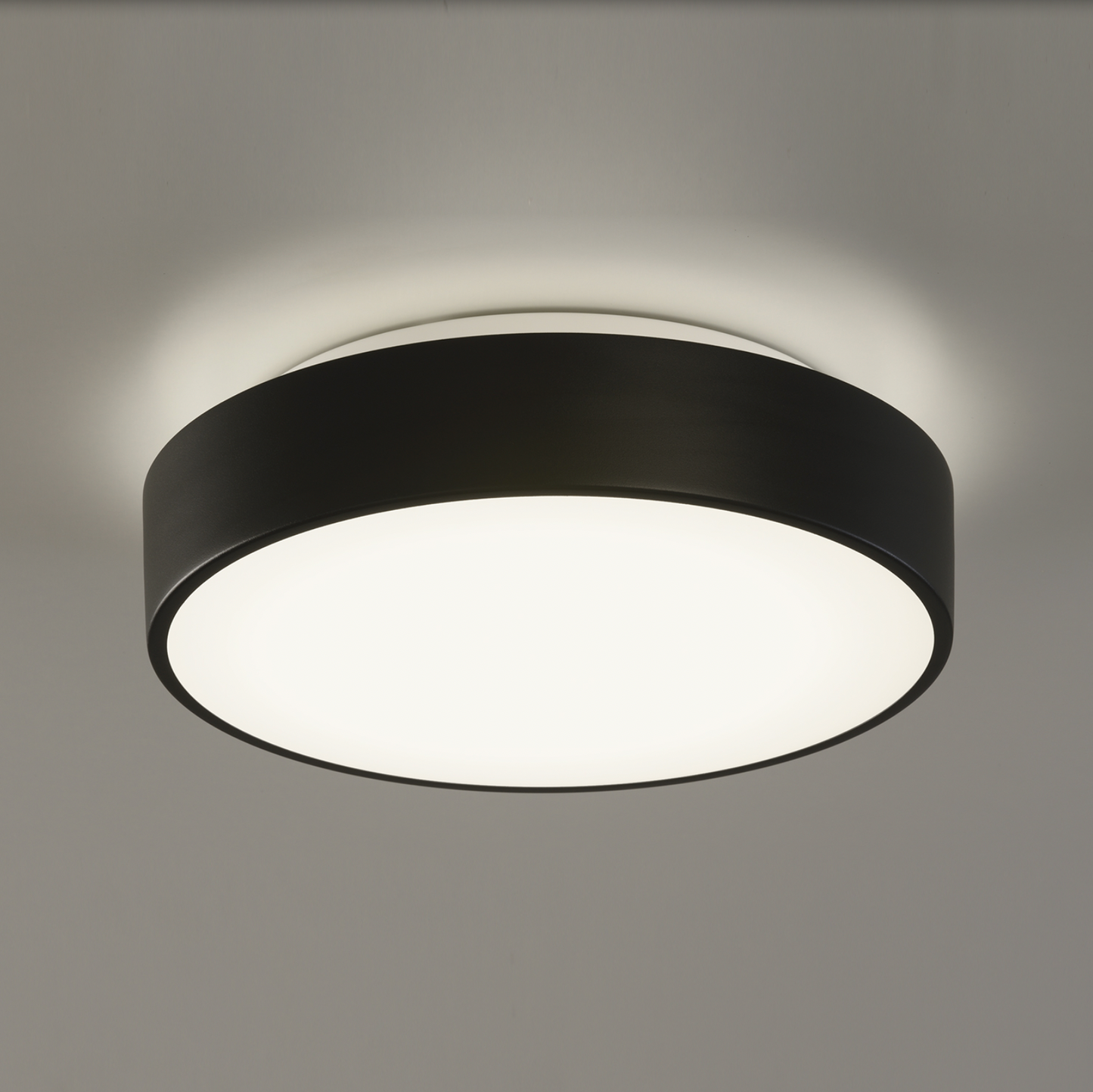 Plafonnier Intérieur 32 cm DINS