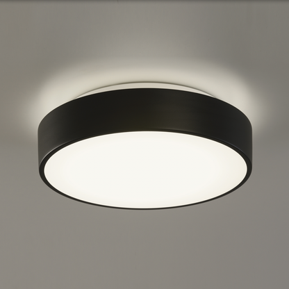 Plafonnier Intérieur 32 cm DINS