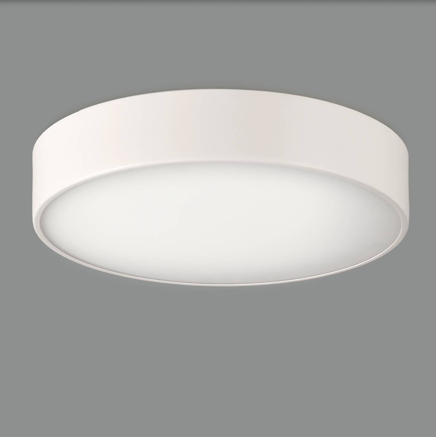 Plafonnier Intérieur 32 cm DINS