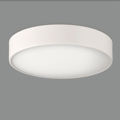 Plafonnier Intérieur 32 cm DINS