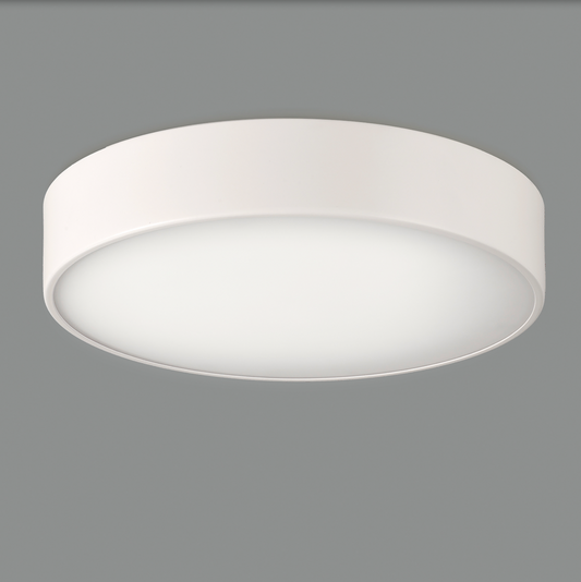 Plafonnier Intérieur 32 cm DINS