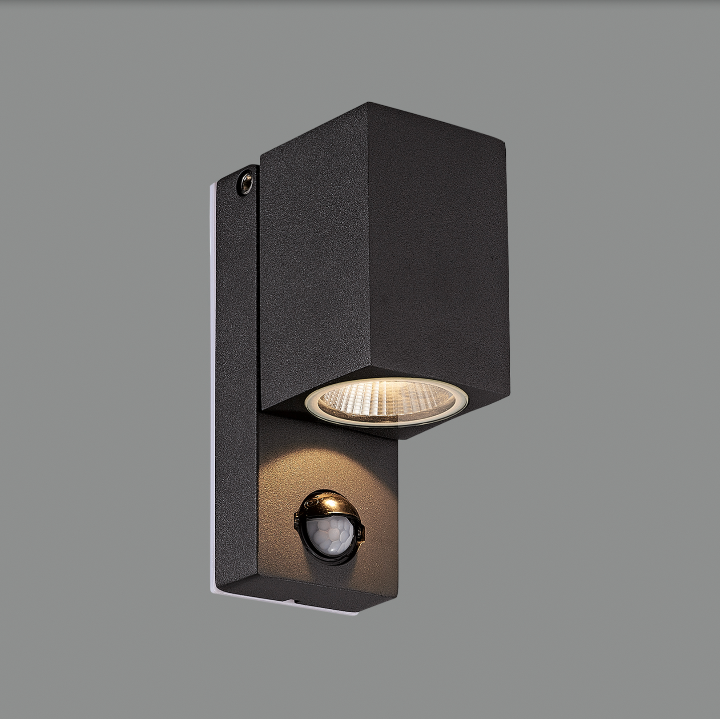 Lampe Murale Extérieure Réglable CALA