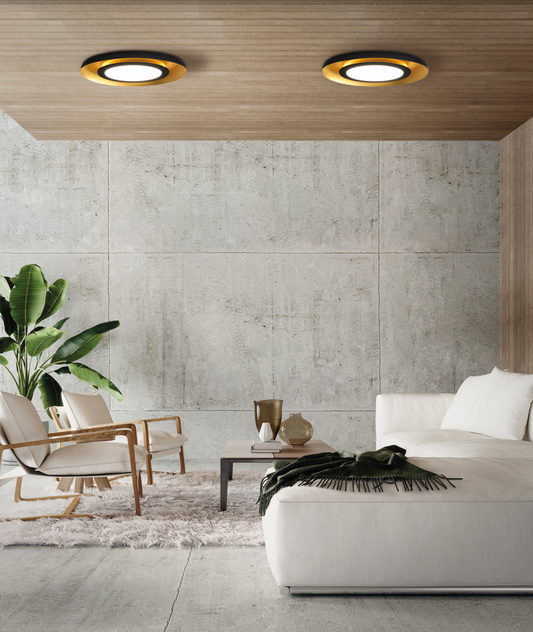 Plafonnier au contraste noir et doré, à la fois élégant et apaisant. Sa lumière douce et homogène crée un équilibre visuel parfait, idéal pour toutes les ambiances. Un design circulaire raffiné qui structure et valorise votre espace avec caractère.