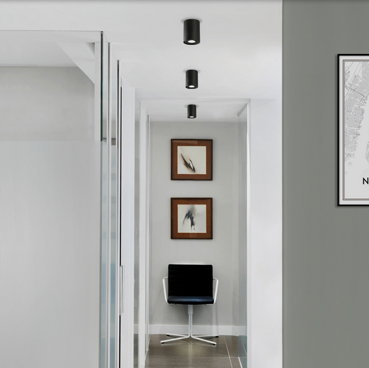 Spot orientable au design moderne et discret, offrant un éclairage directionnel précis idéal pour salons, boutiques ou bureaux.